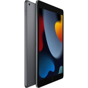 Tablet Apple iPad (10.2-inch, 9th Generation) Wi-Fi, 256GB Storage - Gray