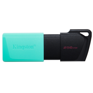 USB Kingston Exodia 256GB USB 3.2 (Teal) - Black