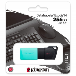 USB Kingston Exodia 256GB USB 3.2 (Teal) - Black