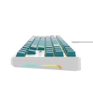 Tastierë Havit KB901L Gaming Keyboard (white/green)